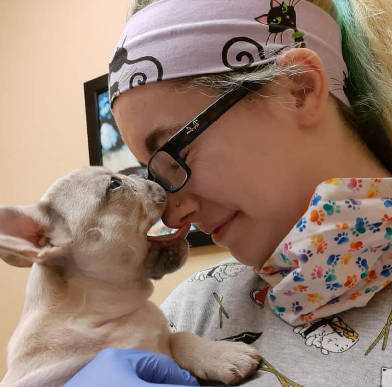 Careers Vet in Anchorage Highland Animal Clinic