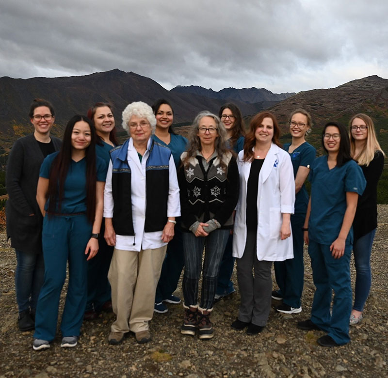 Careers Vet in Anchorage Highland Animal Clinic