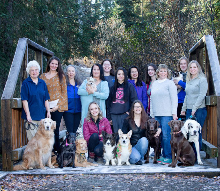 Careers Vet in Anchorage Highland Animal Clinic