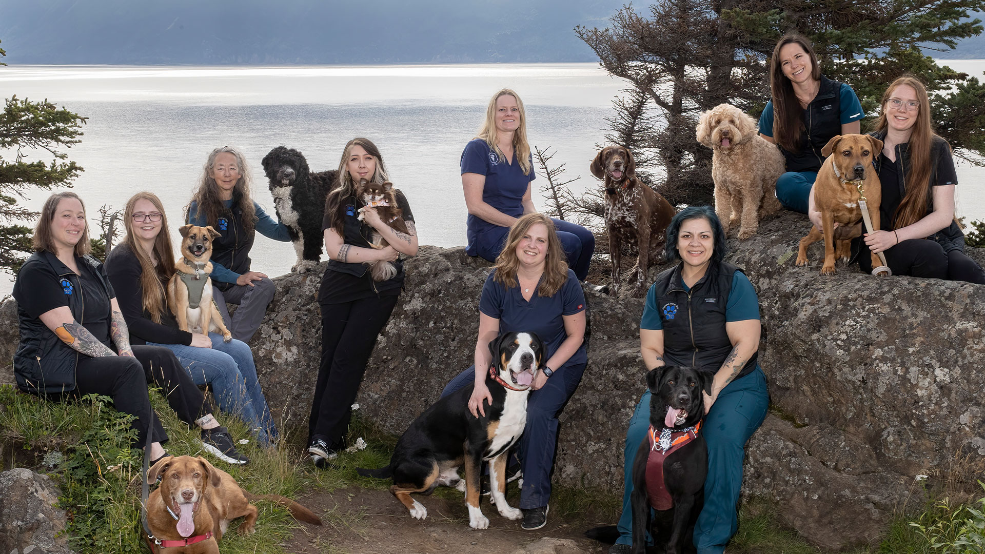 Team Vet in Anchorage Highland Animal Clinic